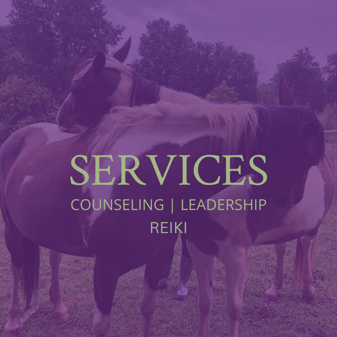 Services we offer at Willow Equine for counseling and leadership